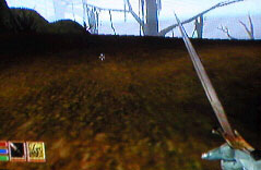 Morrowind